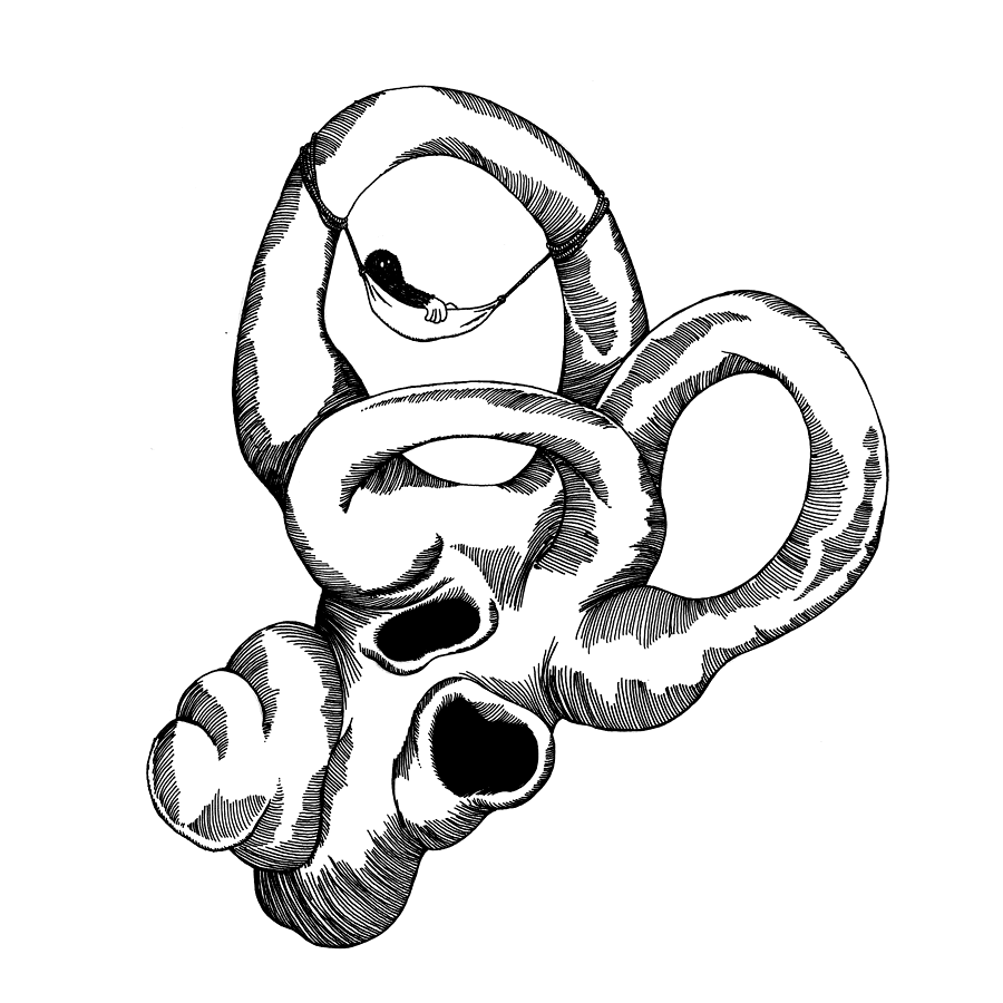 - Étude graphique "Lucinienne"- page 5