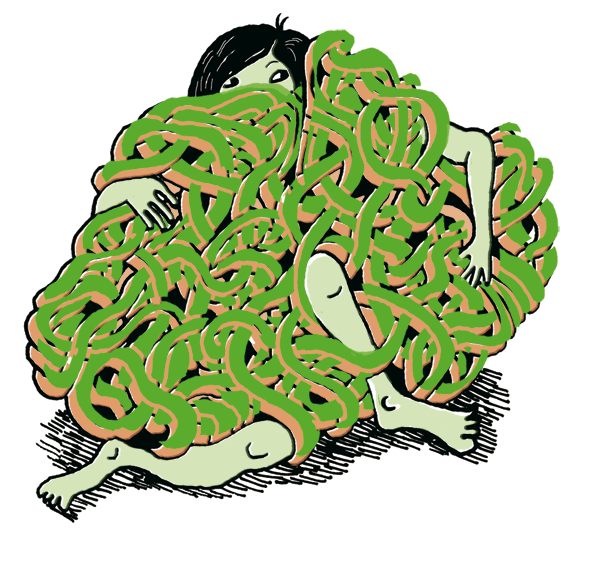 - illustrations- page 6