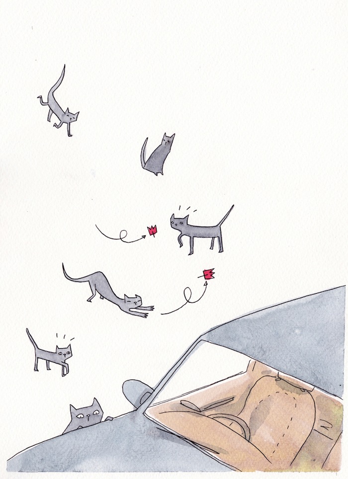 - Cat Island- page 5