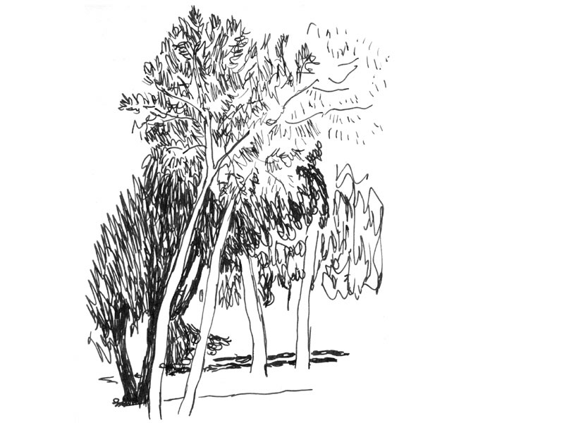 - Girofigaitalia- page 23