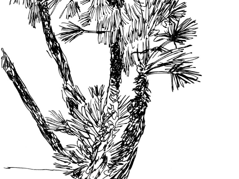 - Girofigaitalia- page 24