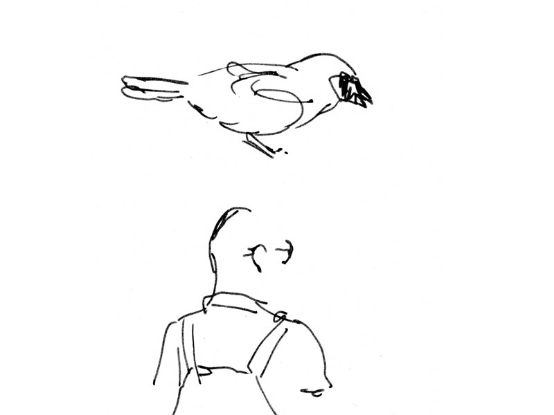 - Girofigaitalia- page 31