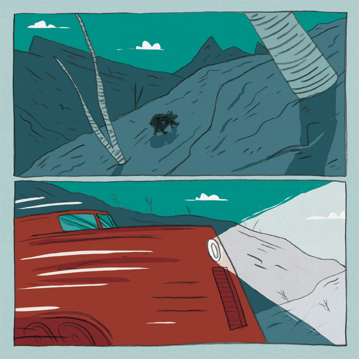 - The Crooked Track- page 34