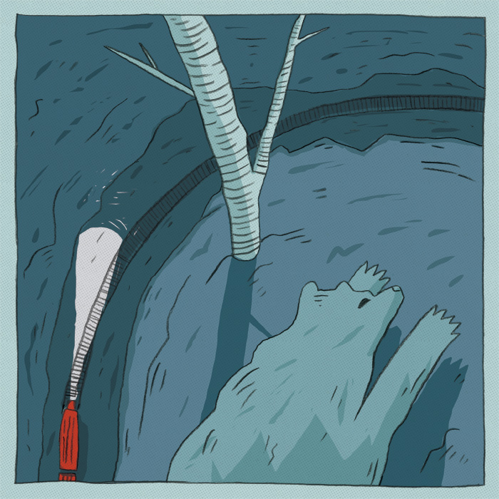 - The Crooked Track- page 35