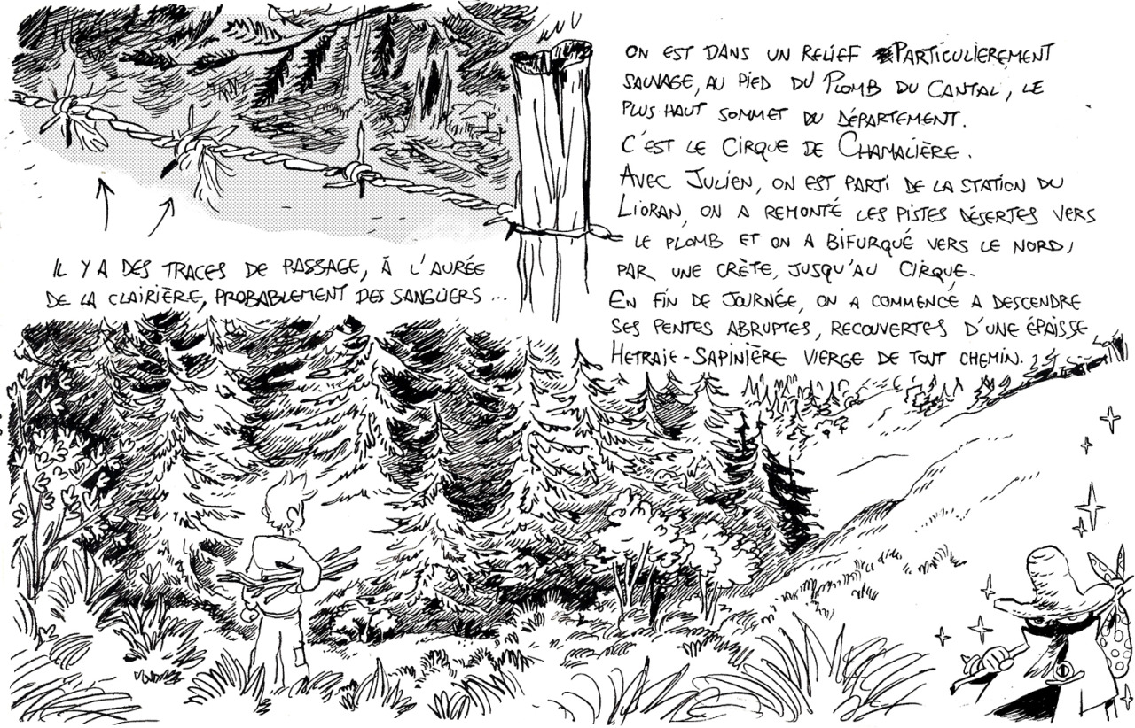 - Réfléxions sur le rapport entre Nature et Jeux Vidéos- page 7