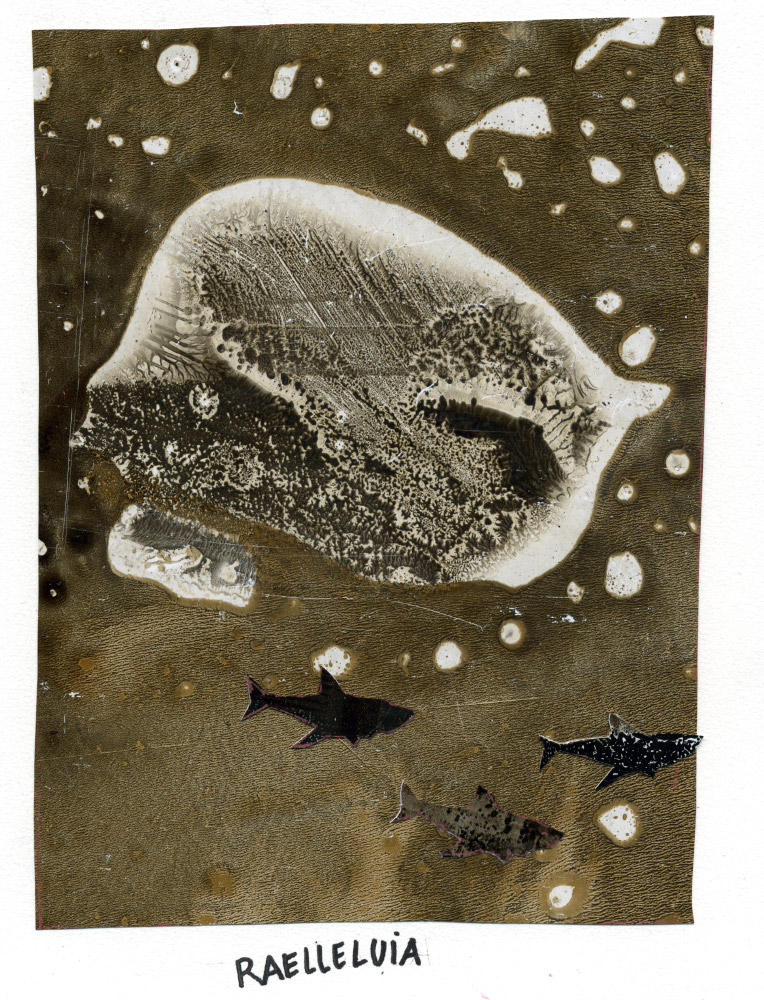 - JAWEL - 24h 2009- page 5