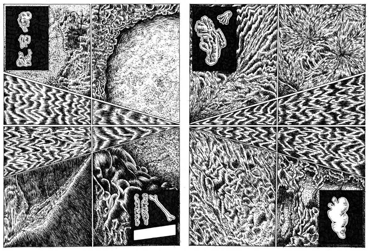 - ▒▒▒▒▒▒▒▒▒▒▒- page 6