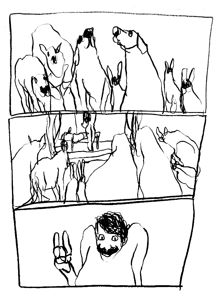 - Spectacle vivant à l'attention des animaux- page 11