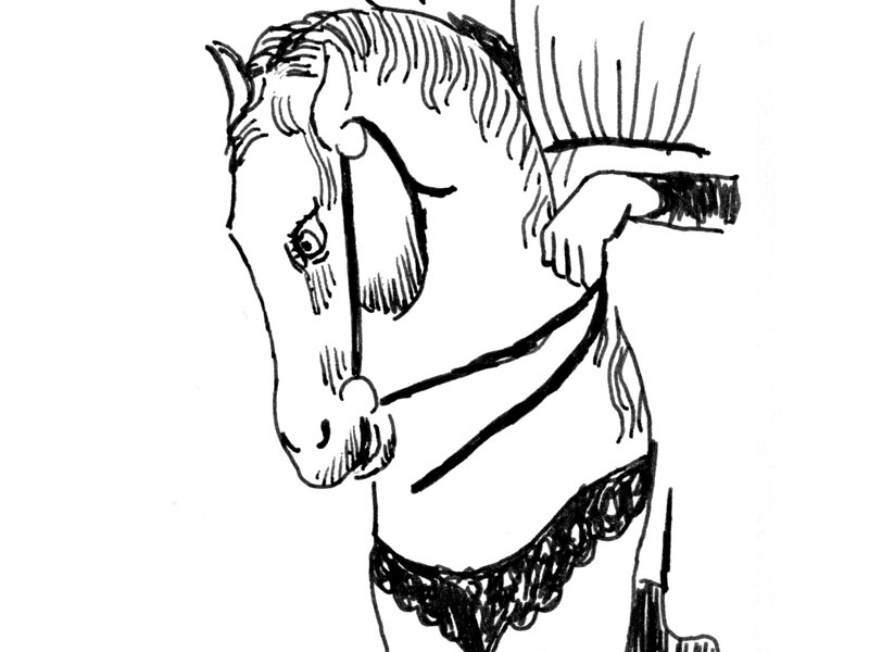 - Girofigaitalia- page 97