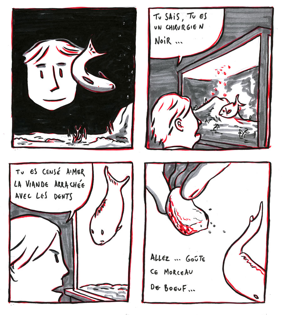 - Le poisson chirurgien- page 11