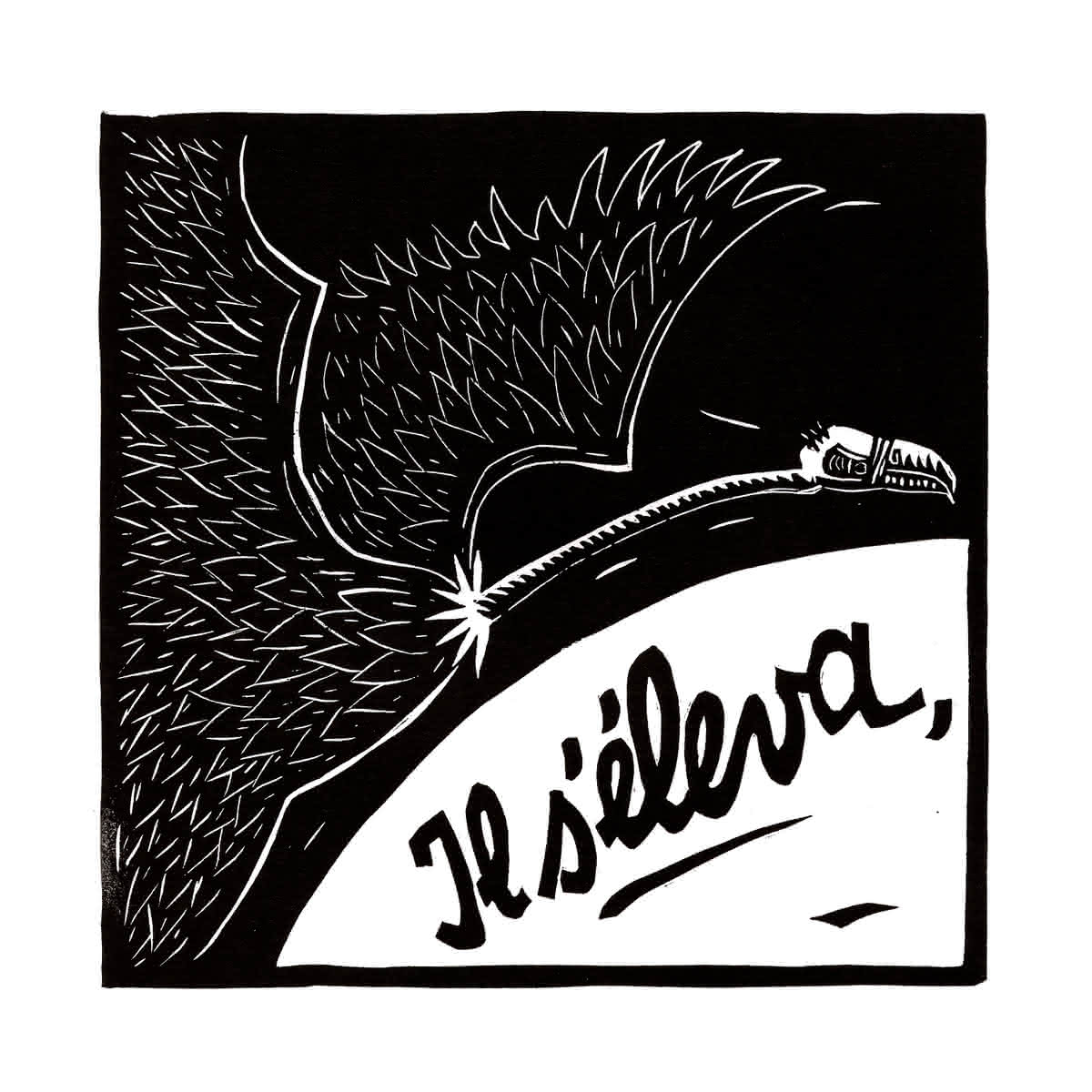 - Le vautour- page 12