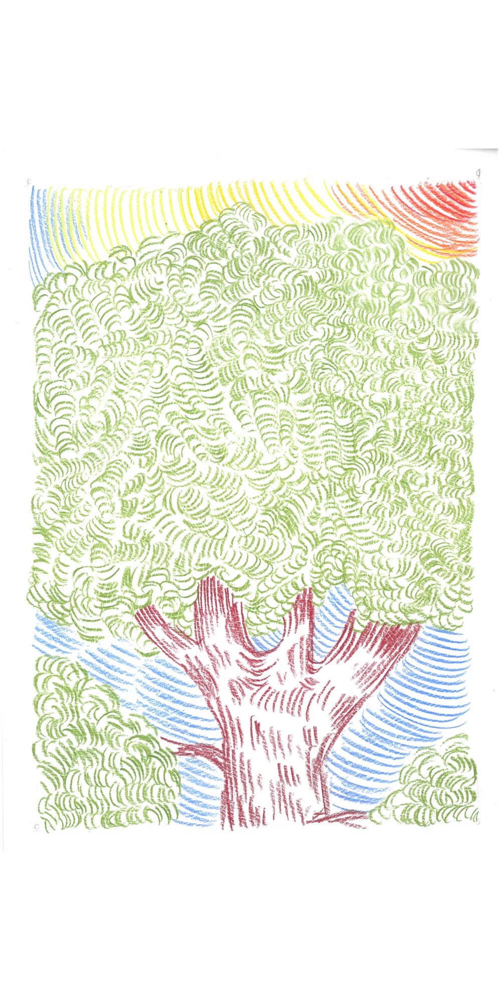 - Le pays dans les arbres- page 12