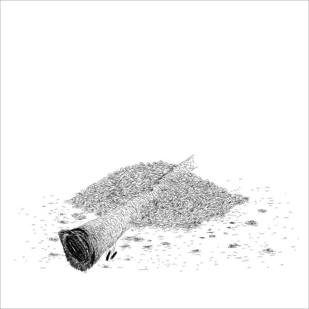 - L' espoir- page 13