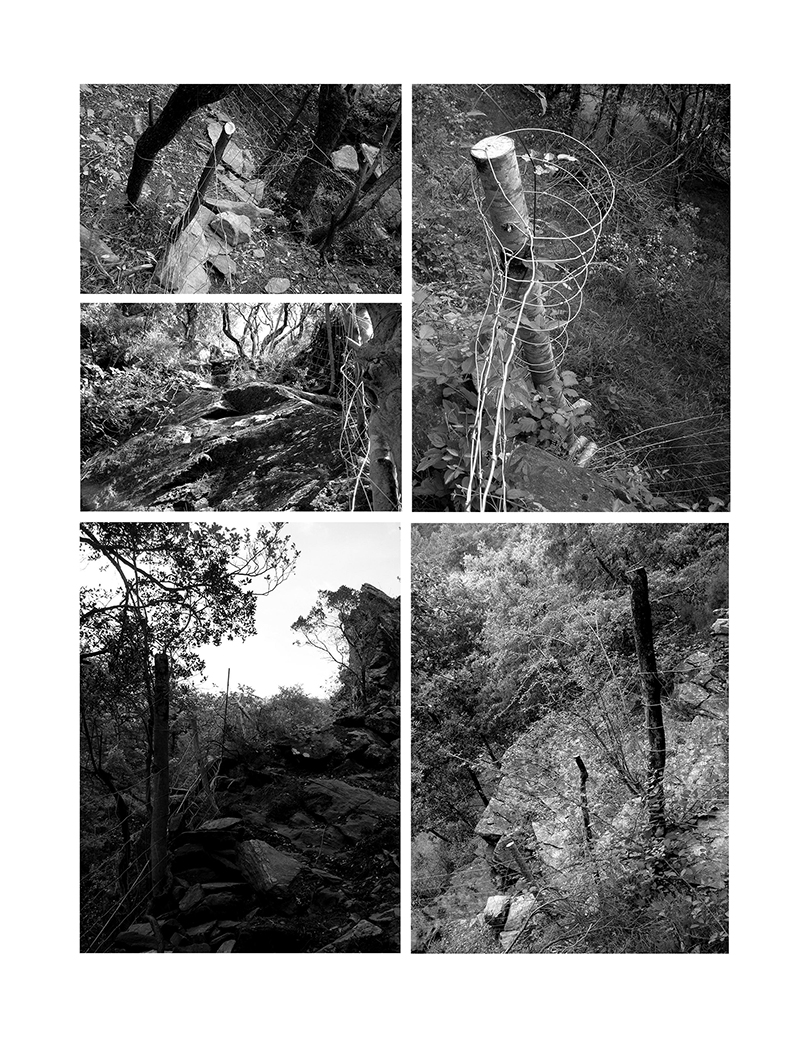 - LE TERRITOIRE PARTAGÉ - Carnet de cambrousse- page 2