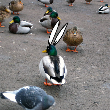 - My Life as a Bunny- page 175