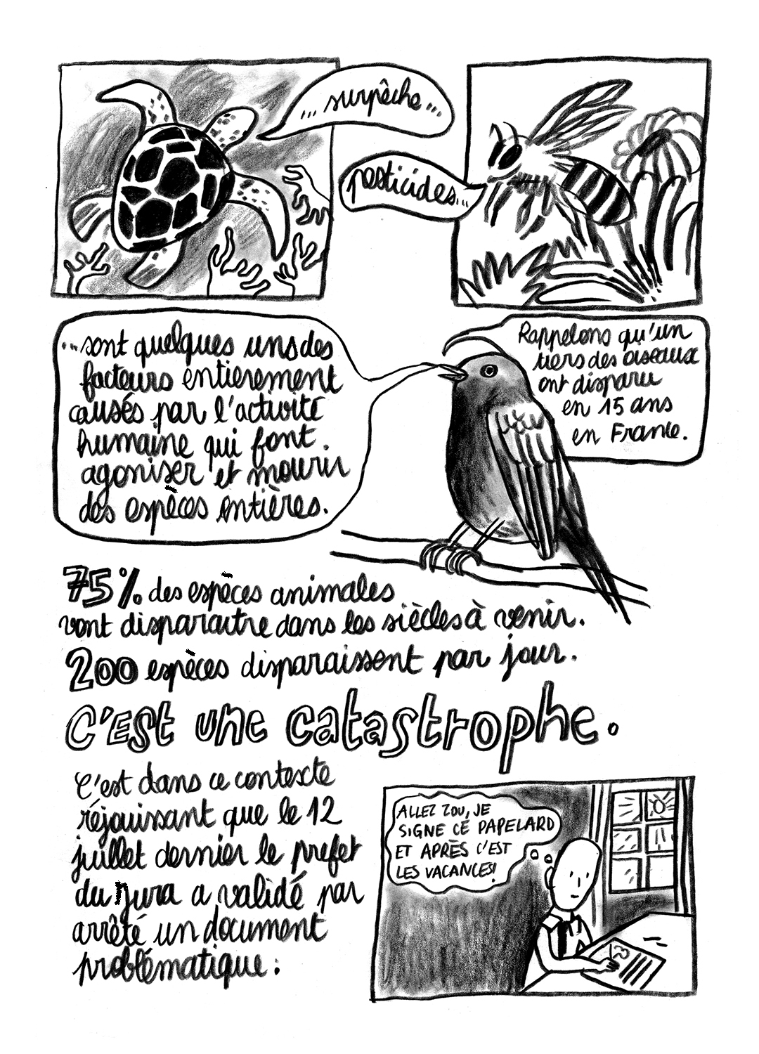 - Lynx en danger- page 12