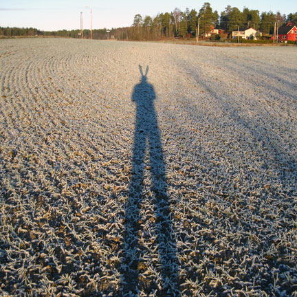 - My Life as a Bunny- page 180