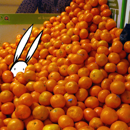 - My Life as a Bunny- page 182