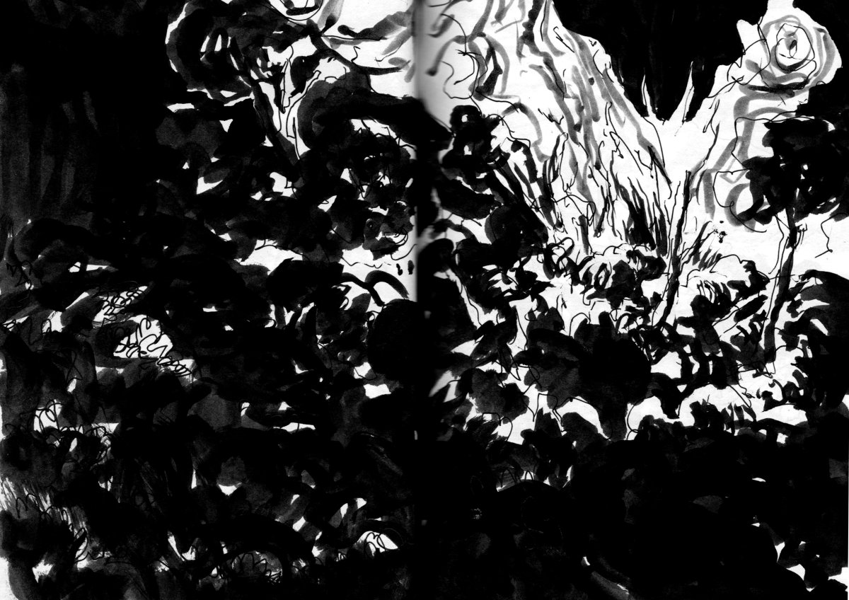 - Visiteurs- page 40