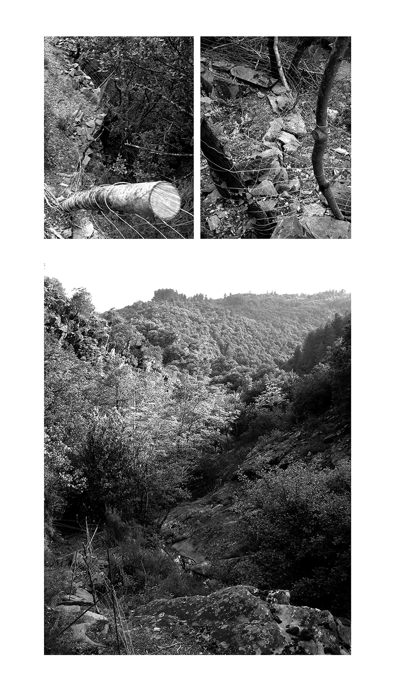 - LE TERRITOIRE PARTAGÉ - Carnet de cambrousse- page 5