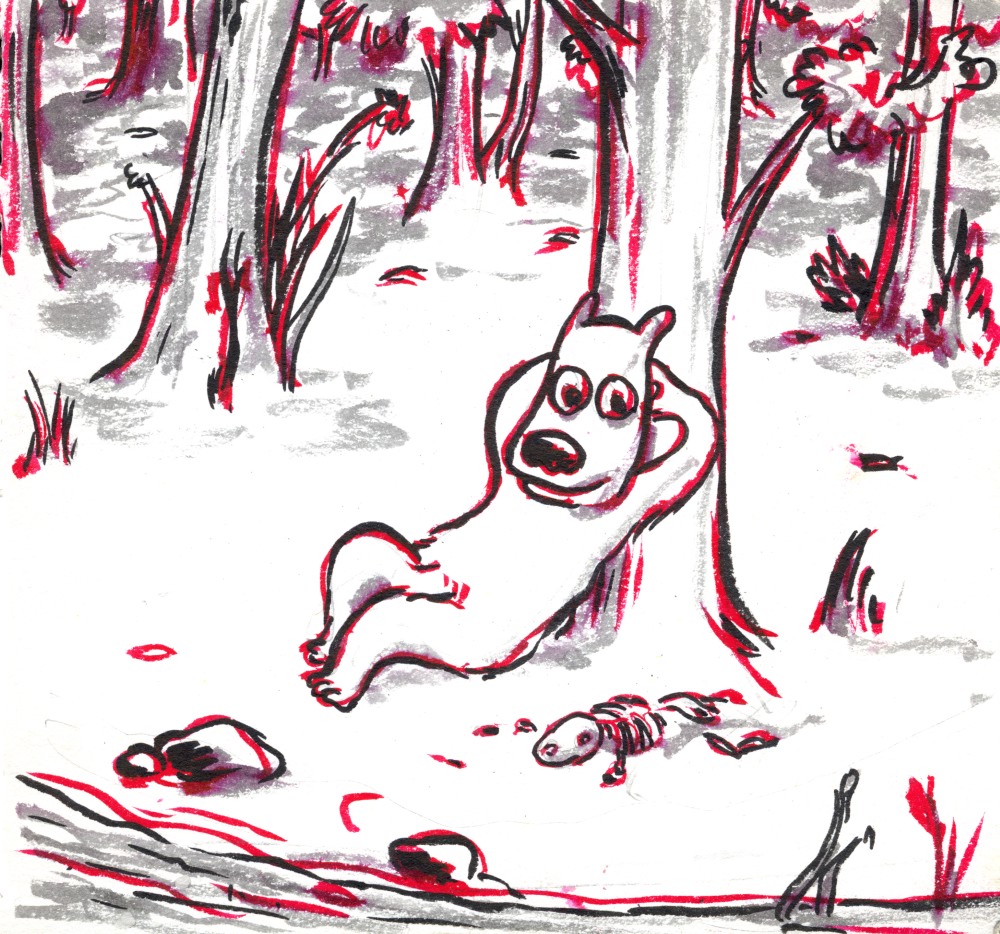 - Walter et Tex le loup- page 12