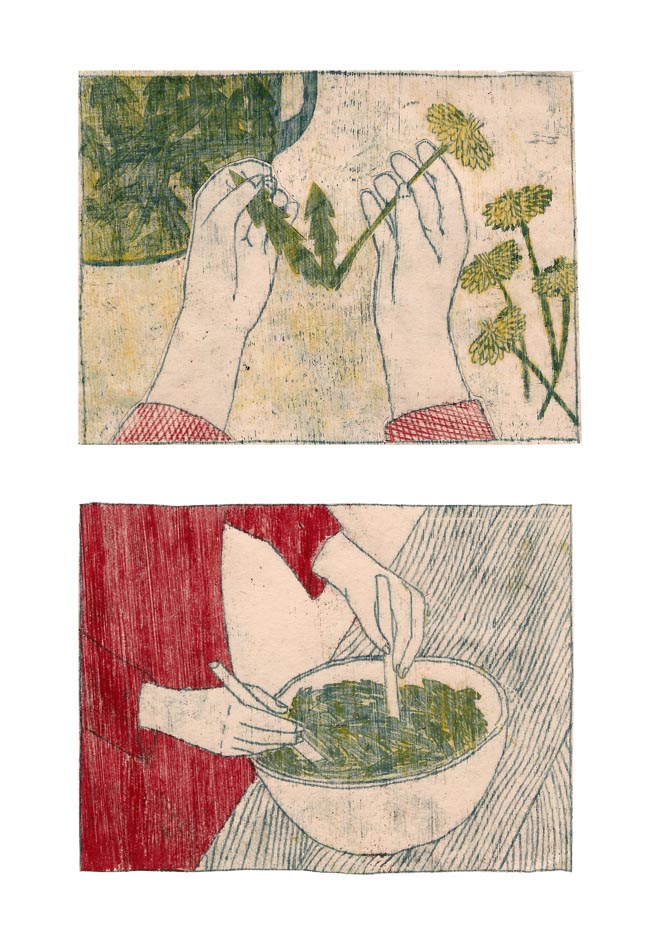 - Pissenlit- page 12