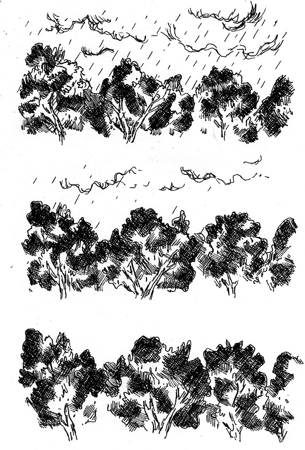 - Cueillette - (24h 2009)- page 14