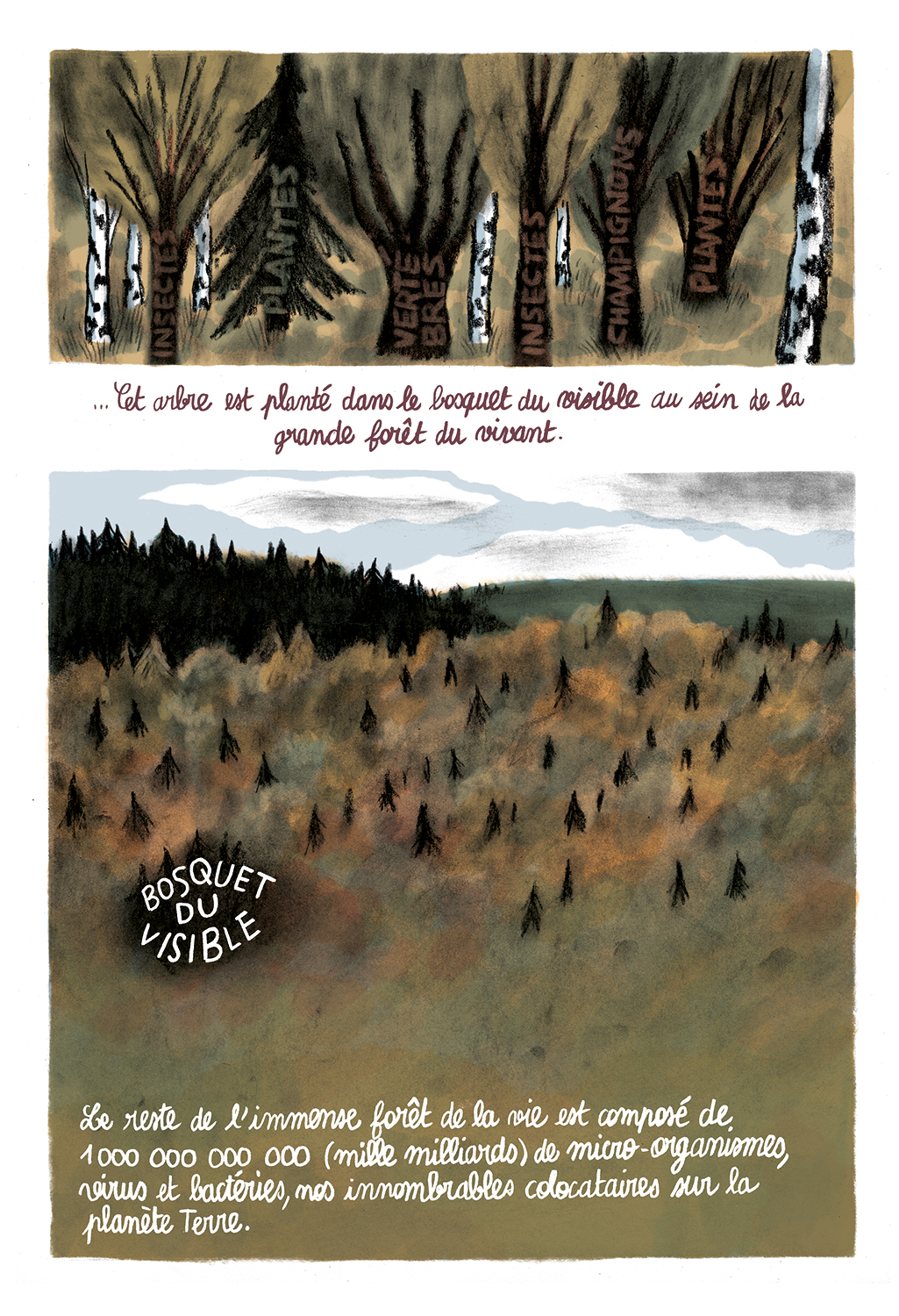 - Covid et Braco- page 10