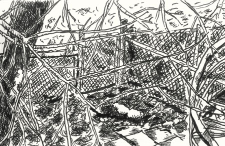 - Présentement #1- page 15