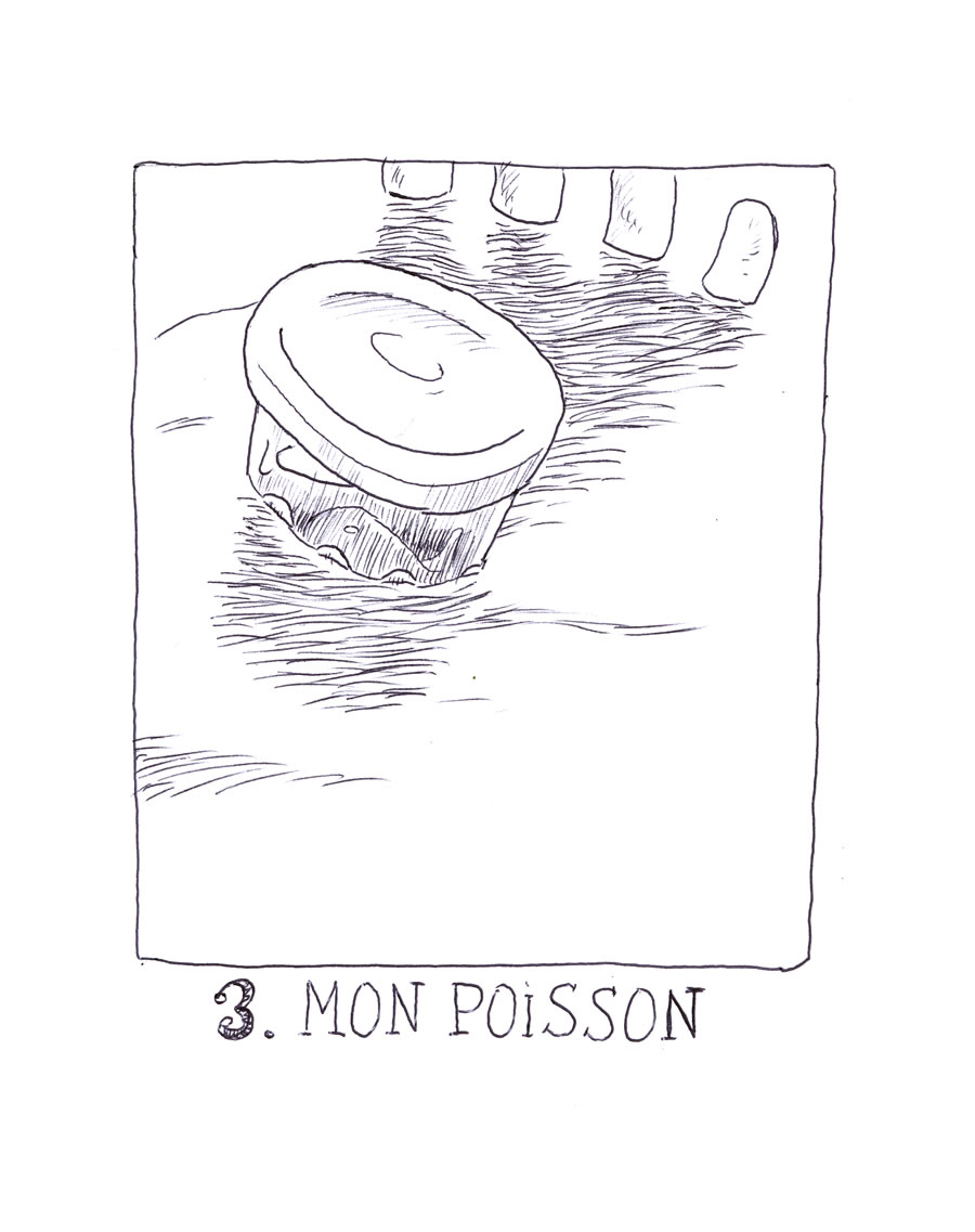- Le poisson chirurgien- page 15
