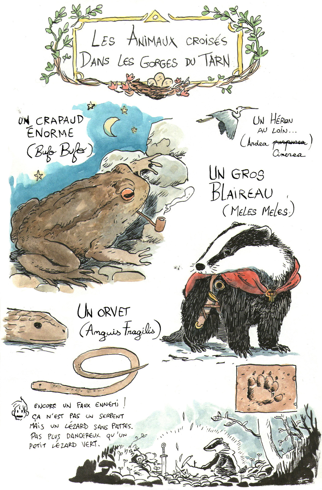 - Balades et Explorations dans les gorges du Tarn- page 16