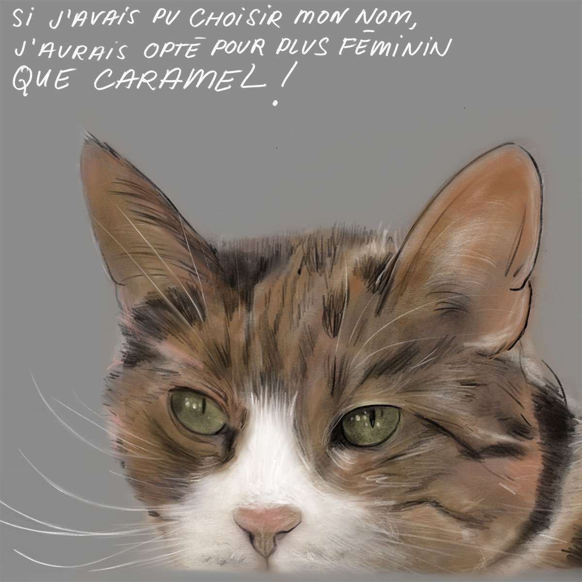 - Un dessin tous les jours- page 49