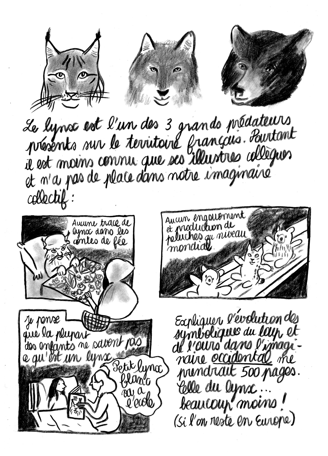 - Lynx en danger- page 2