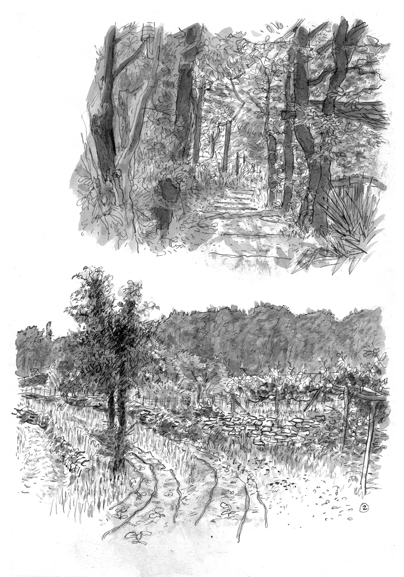 - L'ACCESSIBILITÉ DE LA BEAUTÉ - Carnet de cambrousse- page 2