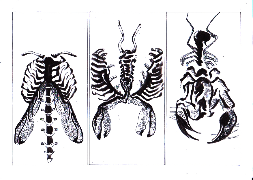 - Metamorphosis- page 2