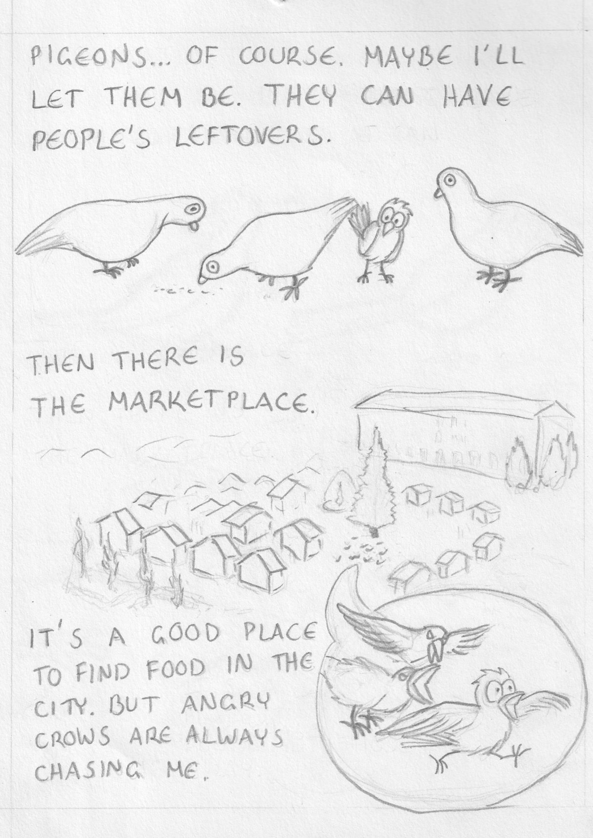 - The Hungry Jay- page 5