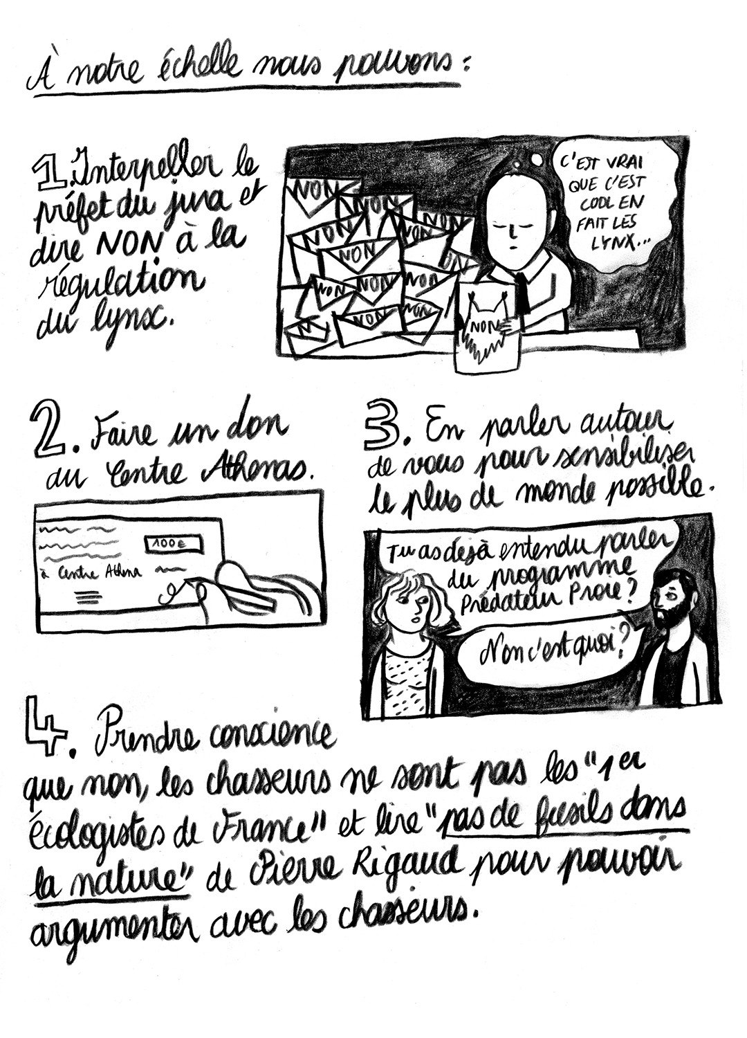 - Lynx en danger- page 21