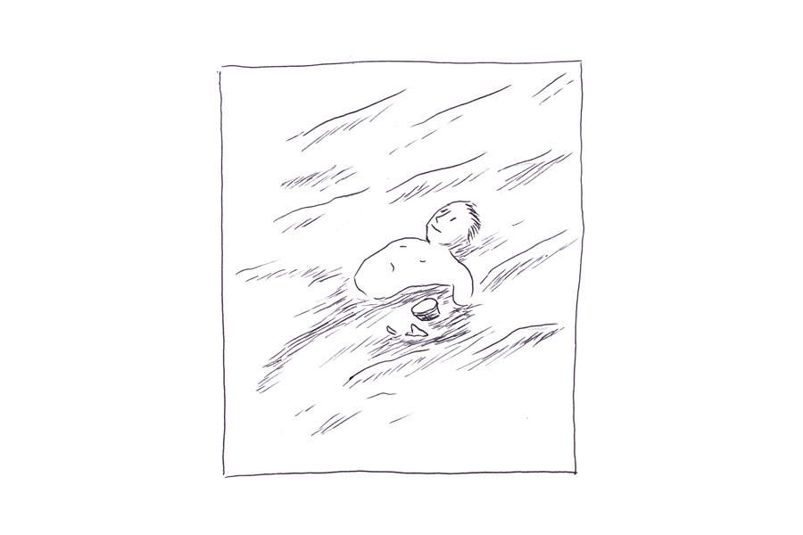 - Le poisson chirurgien- page 22