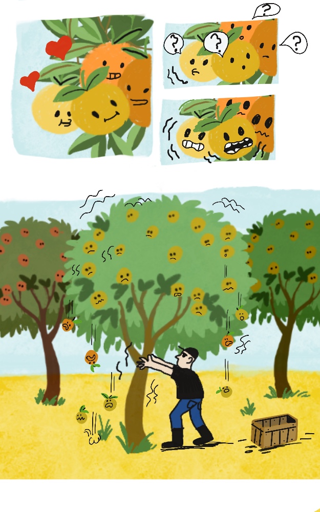 - tout roule...ou pas- page 5