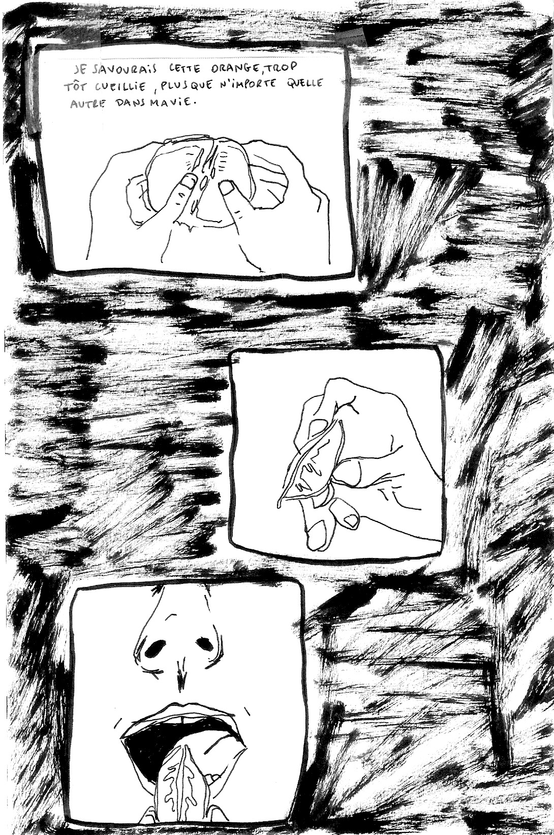 - par delà les montagnes, des orangers- page 9