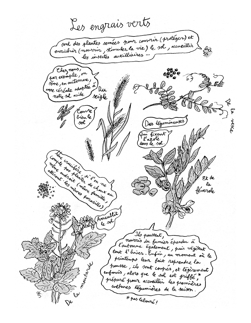 - LEÇON - Carnet de cambrousse- page 8