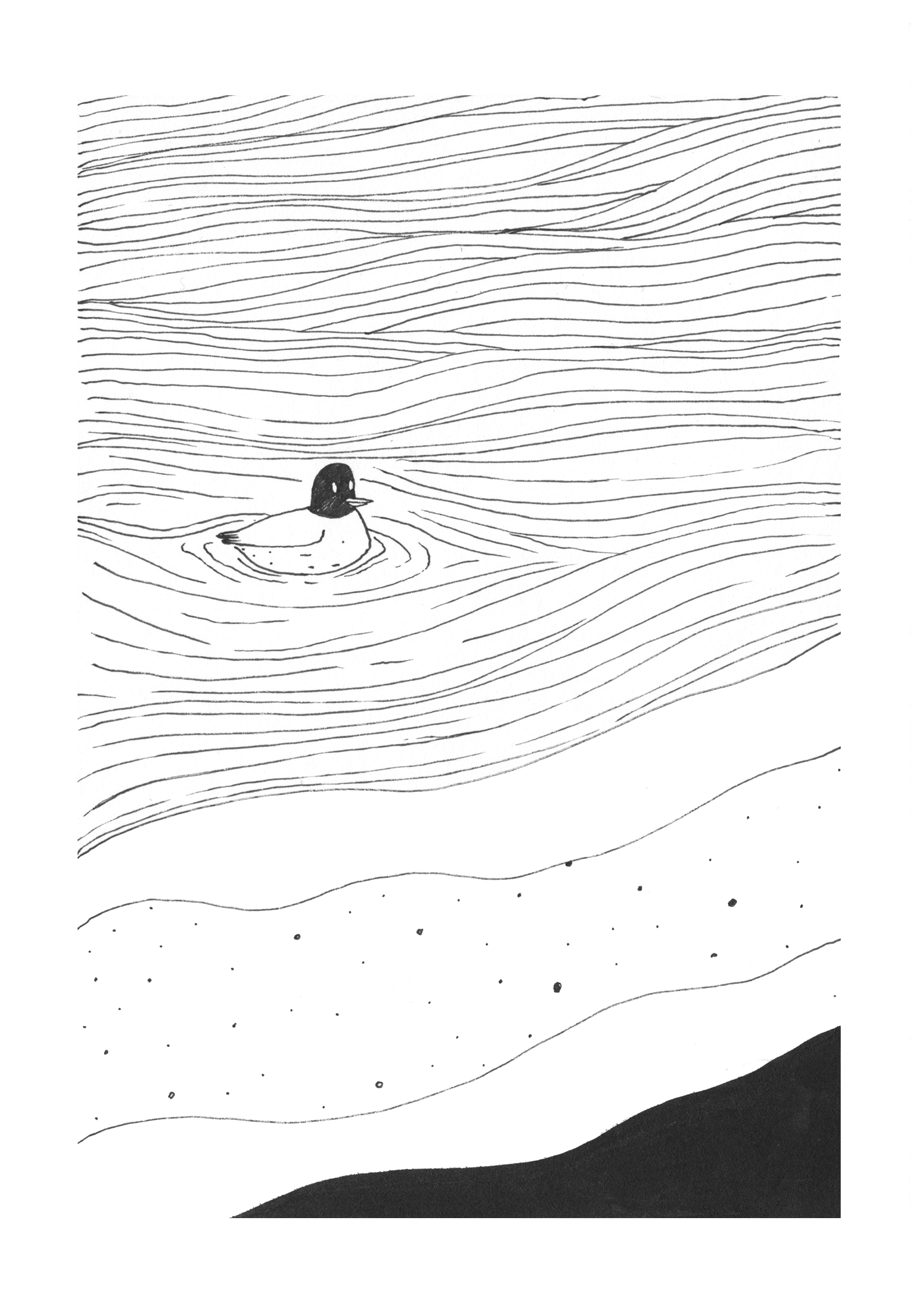 - Un éléphant se prélasse sur la plage, un oiseau passe...- page 2