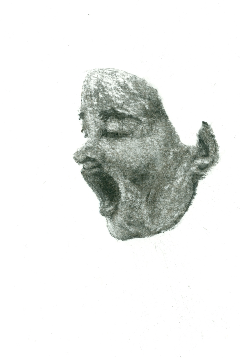 - Chronologie d'un visage- page 2