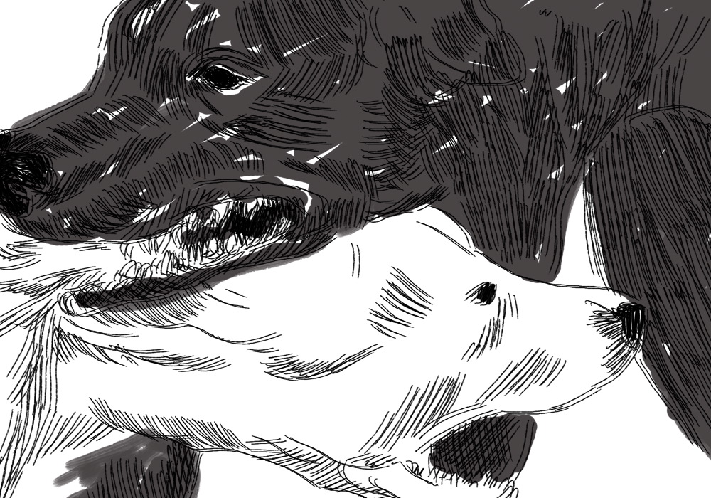 - кошмá- page 32