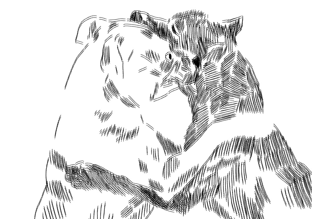 - кошмá- page 33