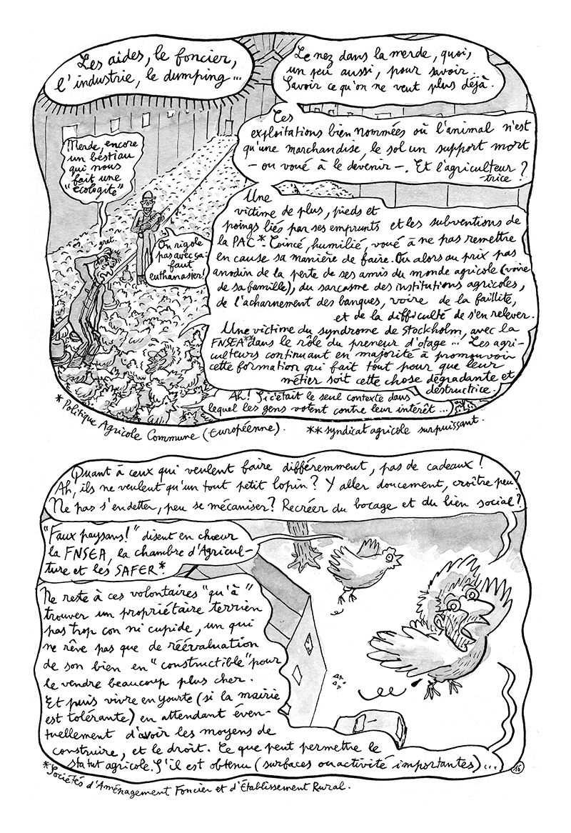 - BONUS - Carnet de cambrousse- page 17