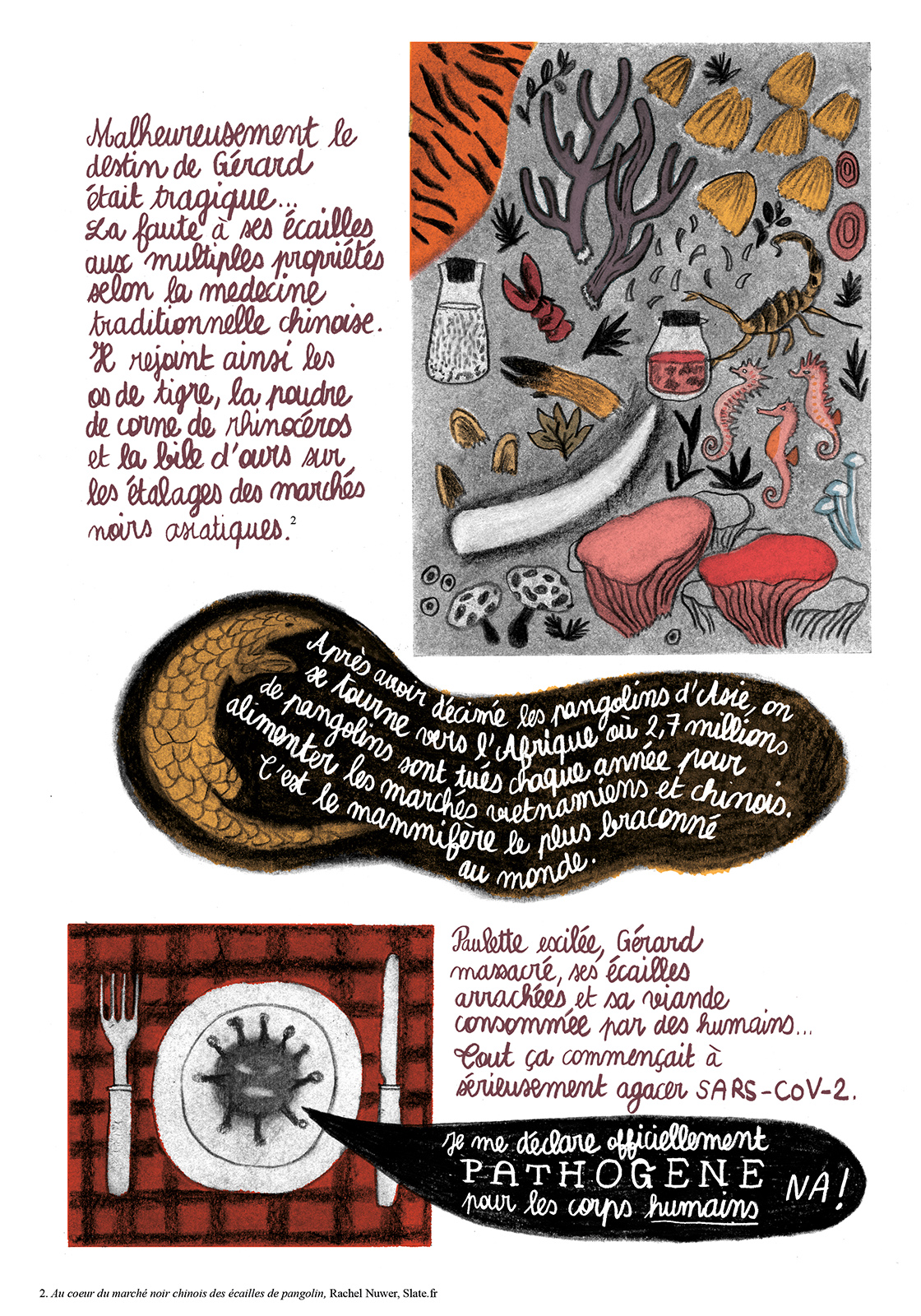 - Covid et Braco- page 5