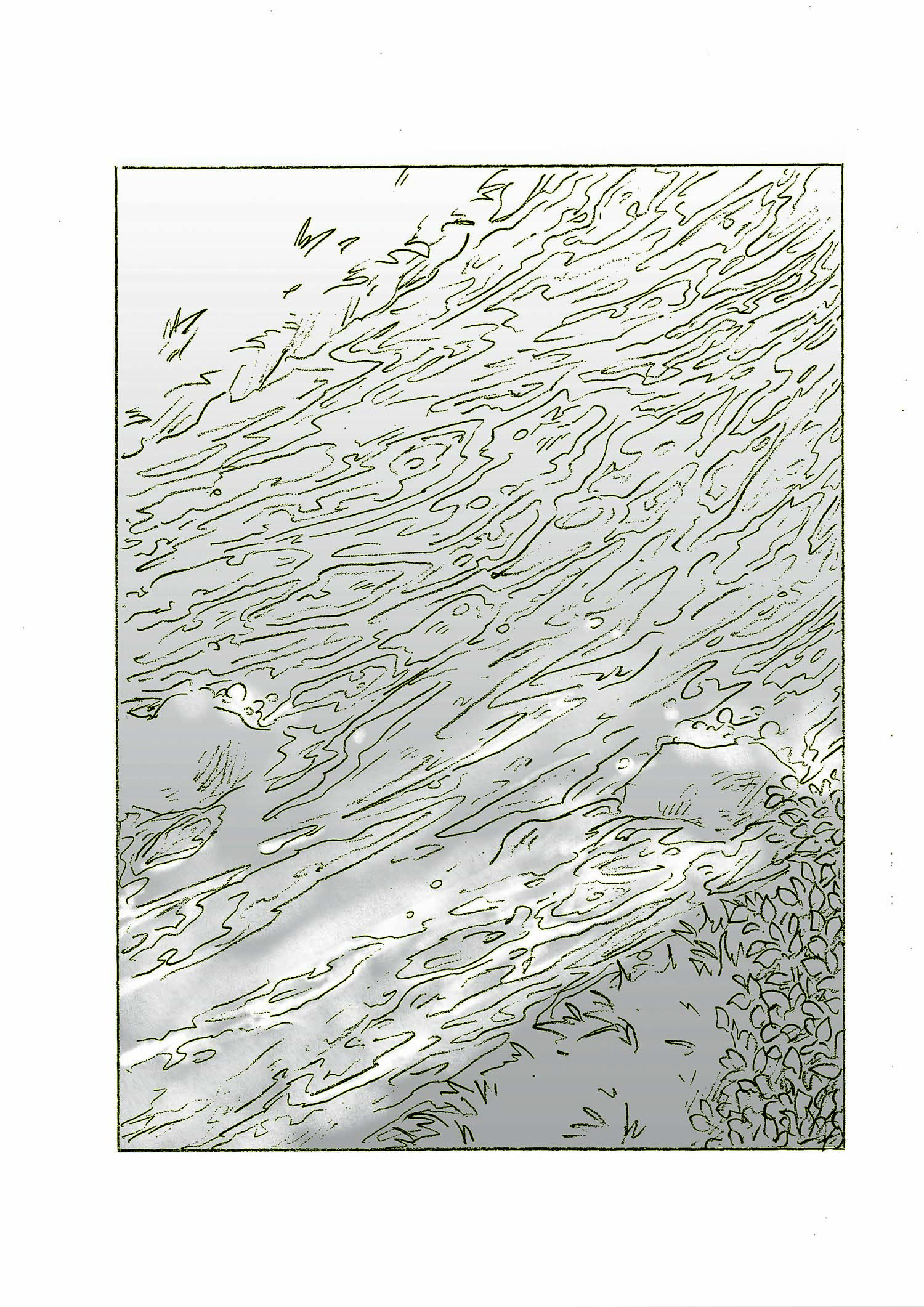 - The Shape of Water- page 5