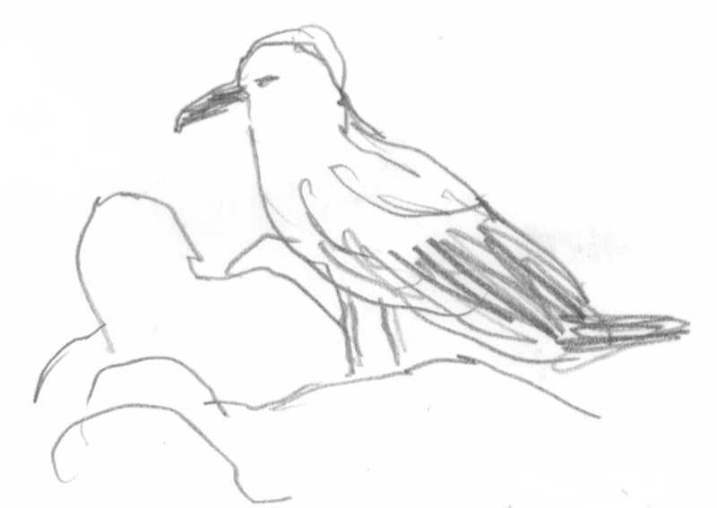 - Carnet ukrainien / Ukrainian diary- page 46