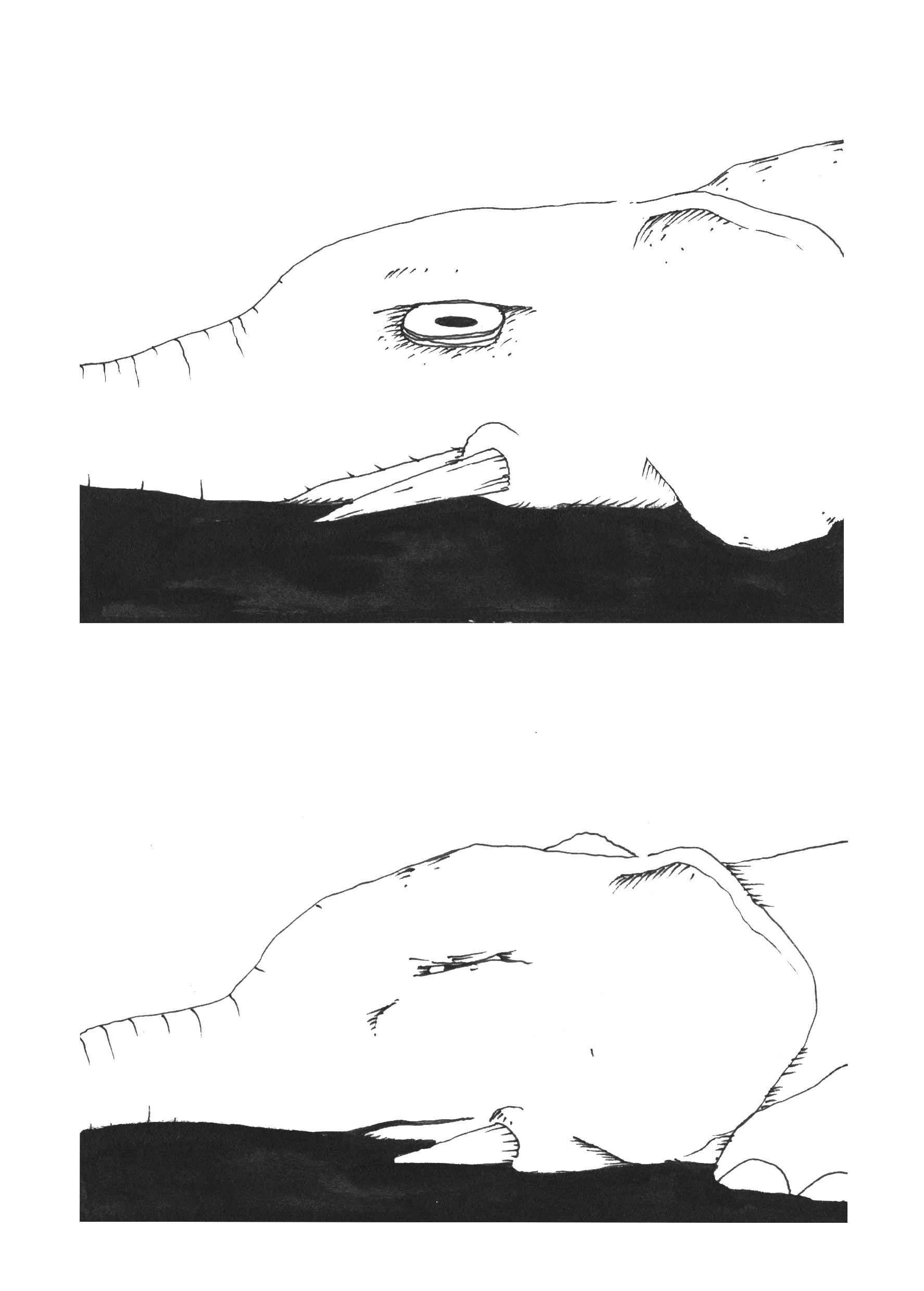 - Un éléphant se prélasse sur la plage, un oiseau passe...- page 4